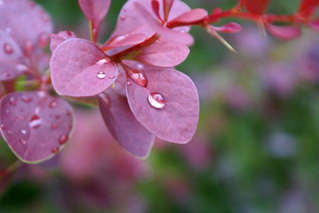There was some good news. It rained every day!