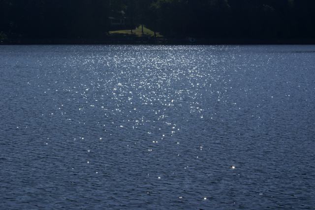The lake level returned to mid-August levels.  Boats came off lifts again, but I was hoping for the lake levels we enjoyed in July.