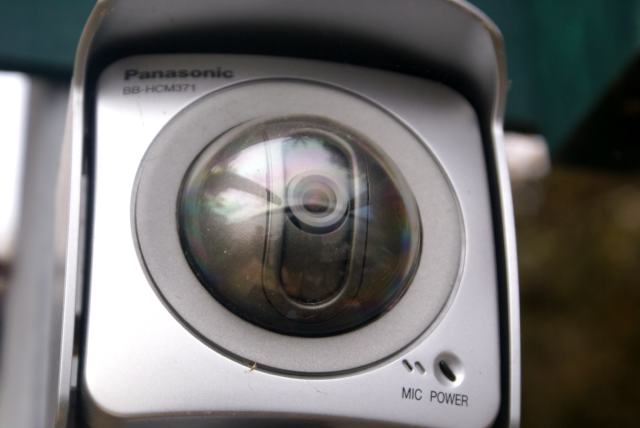 The webcam router was reset Sunday in a proactive move to keep the images coming.