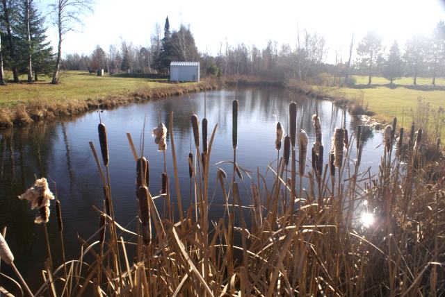 The water hazards at the Nicolet Country Club are low.  Not as low as Lucerne though.