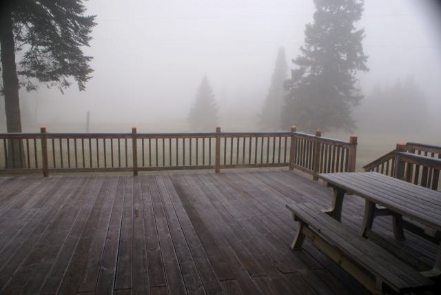 Saturday morning was a frosty and quiet one.  As the last of the melting hoarfrost dripped on the heads and backs of thousands of deer hunters, we donned blaze orange sweatshirts and went golfing. (Golfing! In November! In Northern Wisconsin! What a great late fall!)
