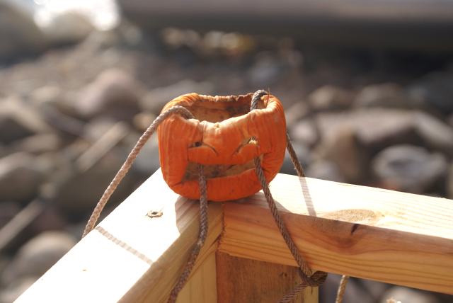 Before we reluctantly headed back home on Sunday, storm windows were checked,  routers were reset, and pumpkins were battoned down for the winter.