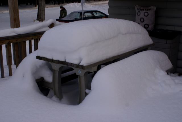In other places, the snow is deeper.  Nine inches seems to be the agreed upon average for the area.  About a foot and a half on the bar's deck.