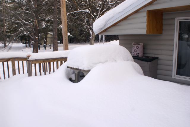 The northwoods has a bit of snow.