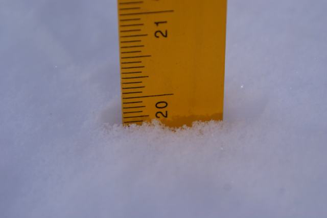 Almost a 20 inch average on the deck.