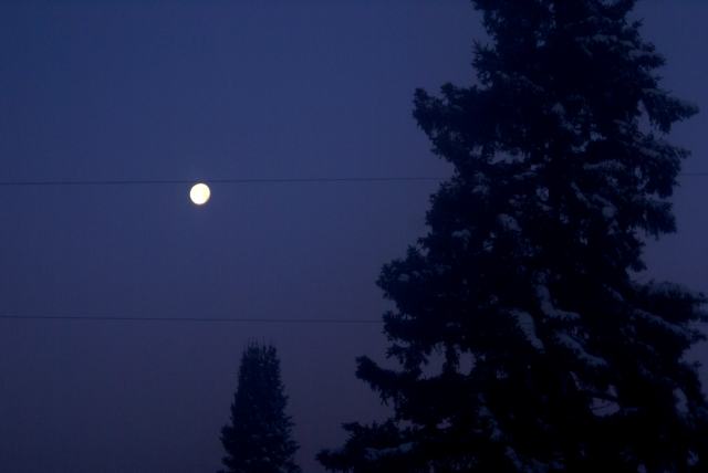 The moon was setting in a clear sky and the sun was still down before we left for Brule.  It was really cold.  Sub-zero type cold.