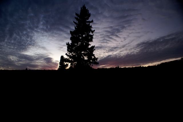 Saturday's sunset featured a lot of pink.  The camera was several meters away when the sky reached peak pink-ness but by the time the shutter was activated, the sun had plunked below the horizon and the colors with it.
