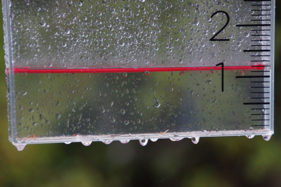 We had on and off rain after the storm for almost 2 days.   Not counting the flow from the watershed, an additional 1.2 inches of depth was added to the lake 