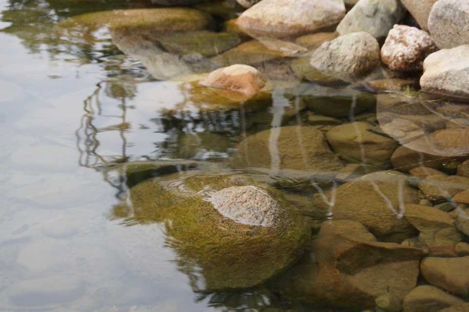 Large rocks on the shore that were just covered last week are peeking above the surface again.  We need rain to hold the gains in lake level made this year.