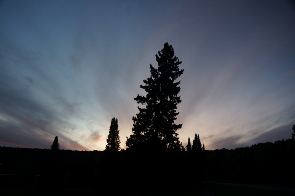 The reds seemed to be leaking into many of the frosty sunsets.