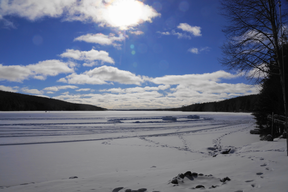 Eagles, wild turkeys, cold, and snow. What more could you ask for during the first month of the year?  Well...we could use a little more snow and a little less cold, but such is the nature of Deep Winter. Usually this sub-season of Winter lasts about 3 or 4 weeks, but the delayed onset this year may shorten its stay by a week or two. Being that this type of weather has few fans, it's not a bad thing. A little more snow would also move some of the traffic off the lake and onto the trails, bringing more noise to the woods and more quiet to the lake.<br><br>-Nemo prefers his whiskey without any shanky aftertaste.