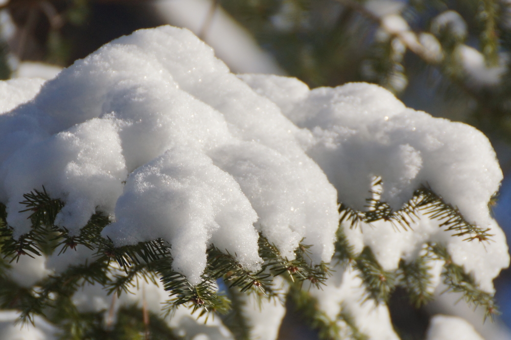 With the weekend came more cold and about 3 inches of light, fluffy snow.