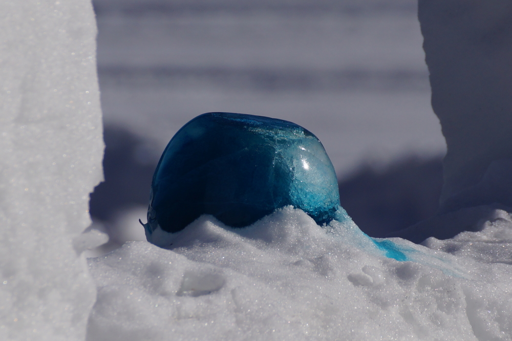 The "Orb of Justice" remains least damaged of all. There has been no small amount of speculation on how this orb got its name. After contacting ICANN, it turns out that there were only 3 remaining orb domain names left, the "Orb of Justice", the "Orb of Incontinence", and the "Orb of Squirrel". The incontinence one was a non-starter and given my history with squirrels, the Justice one was the only real choice.