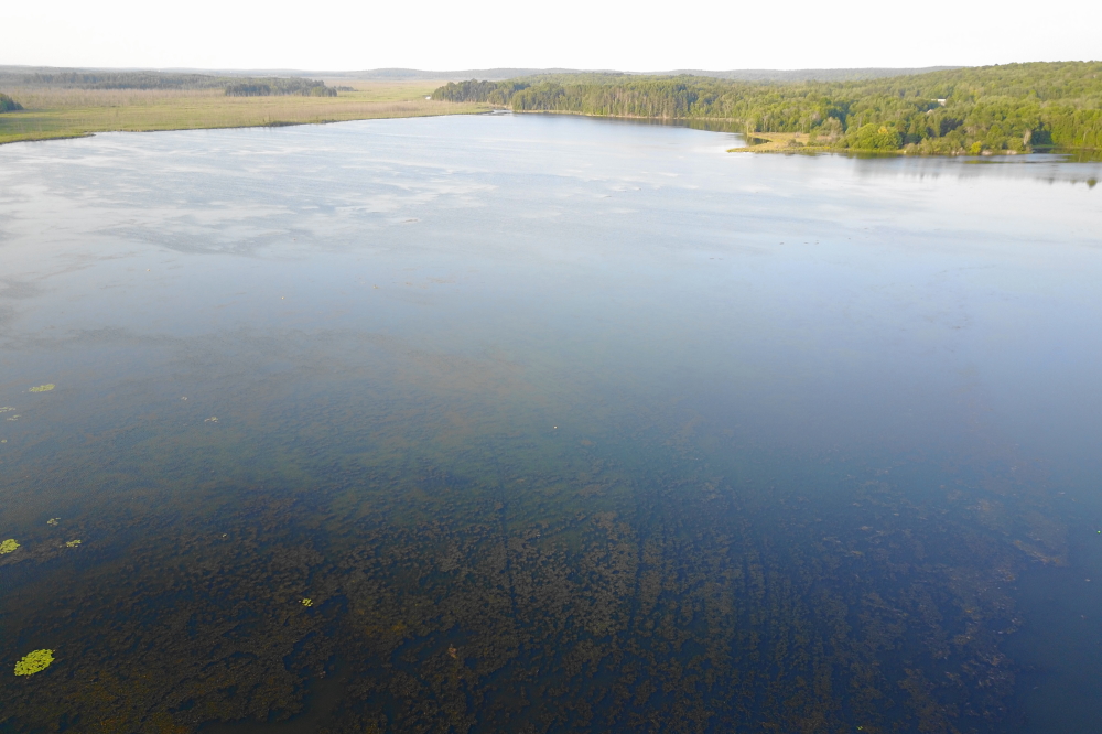 And a very flat lake. The waves that plagued Lucerne all week did not make it to the North end of Crandon.