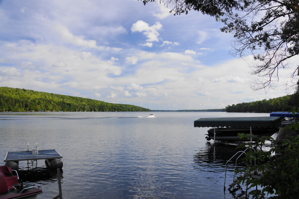 With the coming pulling of the show dock, last campfires, and county fairs, End-of-Summer events are looming. None are more loomy-er that the coming Knott Lane golf outing and after party.  Time to grab 3 friends that know which end of a club to hold and join us next Sunday (September 5th) at he NCC course. Tee times start at 1:03 PM as dozens will play for admiration, glory, and small plastic trophies. The after party starts at the bar at 5:30 PM.  Attendance is not dependent on tournament participation.<br><br><br>-Nemo <a href='https://www.mamalisa.com/?t=es&p=2388' class ='defaultlink2' target='_blank'>forgot his spoon.</a>