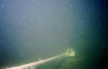 Lake Lucerne