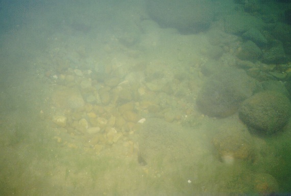 Lake Lucerne
