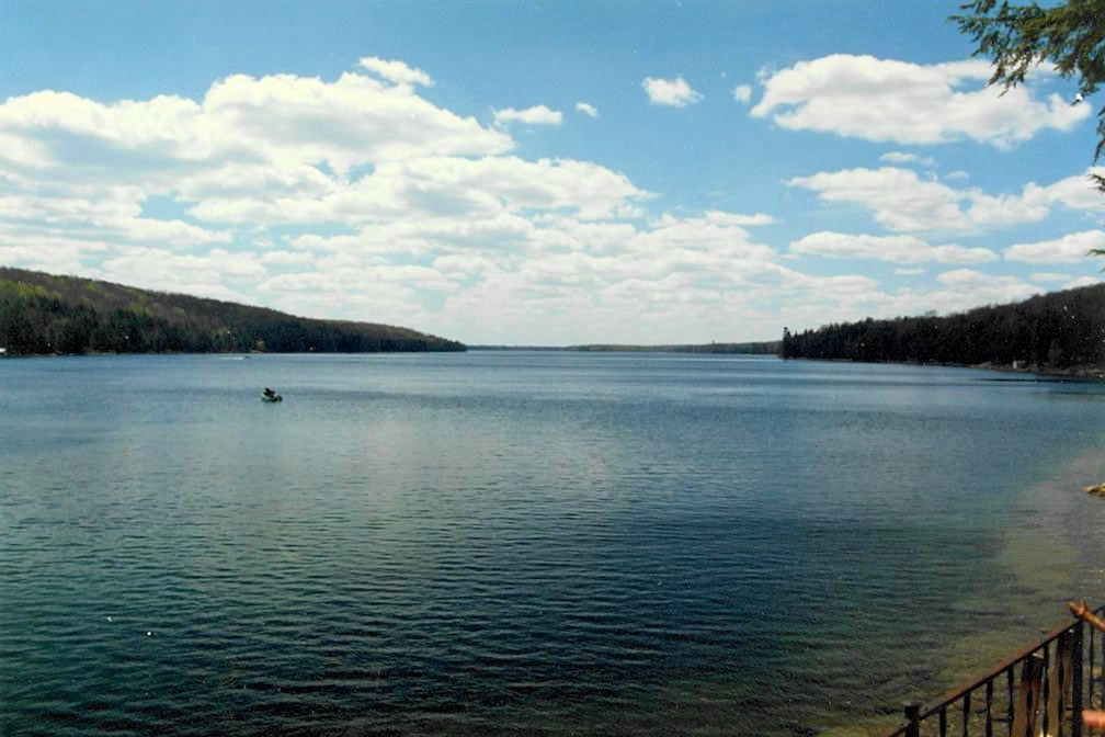 The water is currently too cold to entertain the idea of swimming, which is fine. There will be plenty of time for swimming in the next few months. Trillium are everywhere and the golf course is open. The golf course being open would be more important to us if we actually played golf, but there you are. It was 70s weekend on WRLO. On Friday, we got some very fine strawberries from Schaefer's, and the future Mrs Nemo and I paddleboated the North end of the lake, eating berries and blasting songs from over 10 years ago on a cheap radio. Despite hearing "Billy Don't Be a Hero" three times in less than three hours, I can't recall having a better time ever. The best time ever was made better when the water went in without any issues. Not at all like last year's cracked pipes disaster.<br><br><br>-Nemo also told Billy to keep his head lo-o-ow