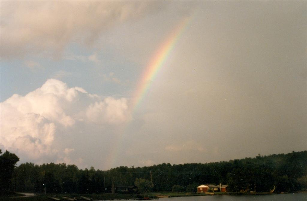 Footstock!  For over a decade now, the figure eight barefoot championship is an event that is simply not to be missed.  It's moved from its origins on Lake Lucerne but the Clear Lake venue is still nice.