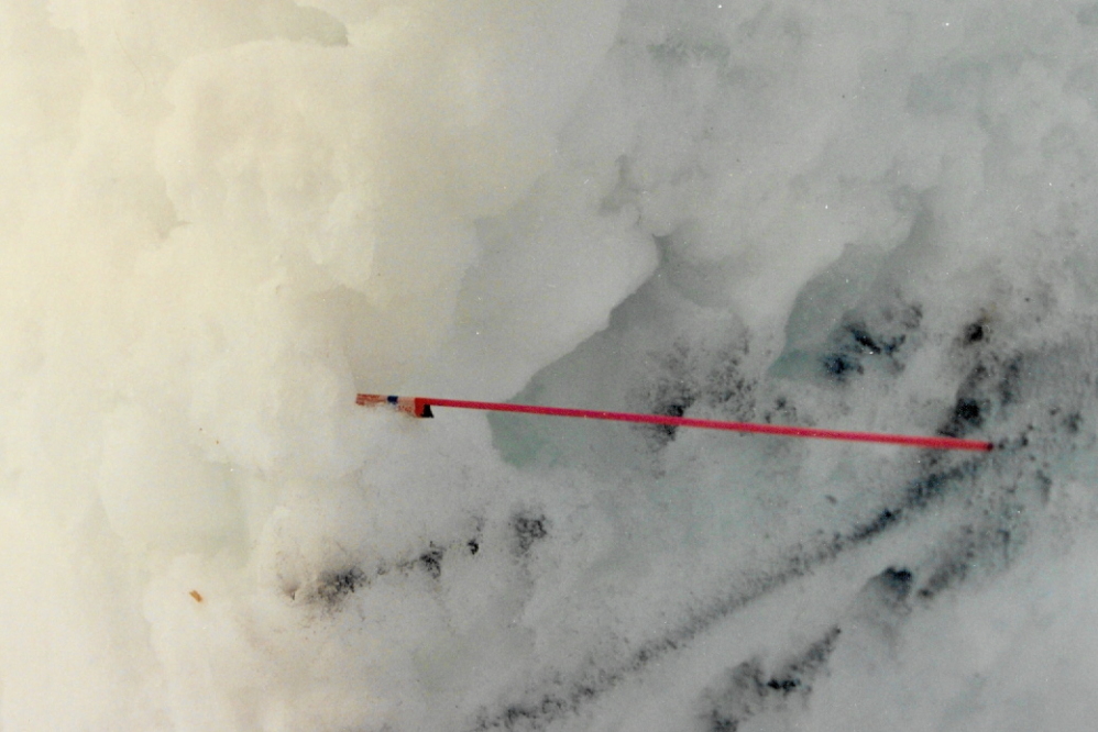 There was one "red stick whisker" embedded in the super thick walls.