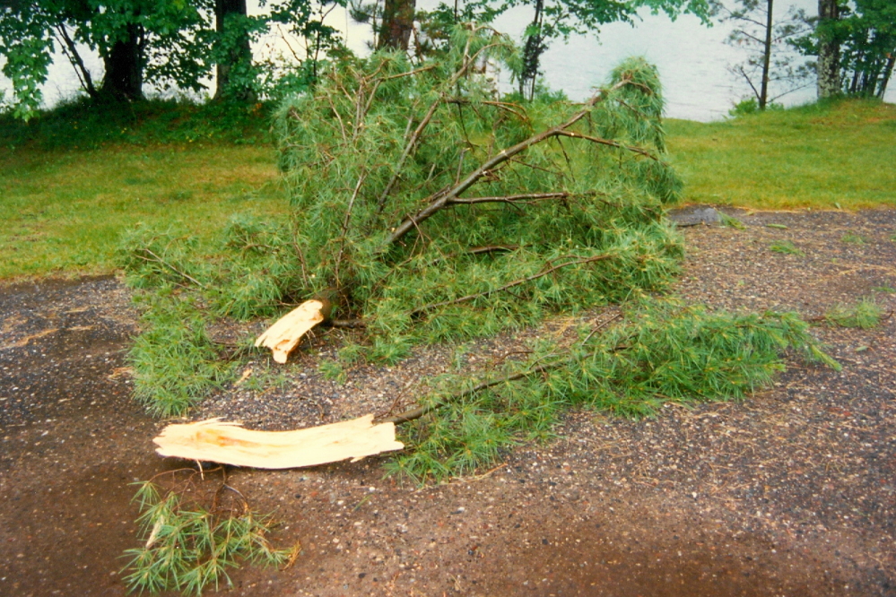 The wind from the storm was strong enough to take a few branches from the white pines at the landing. We passed on the free firewood. I think it would have been forever too wet to light.