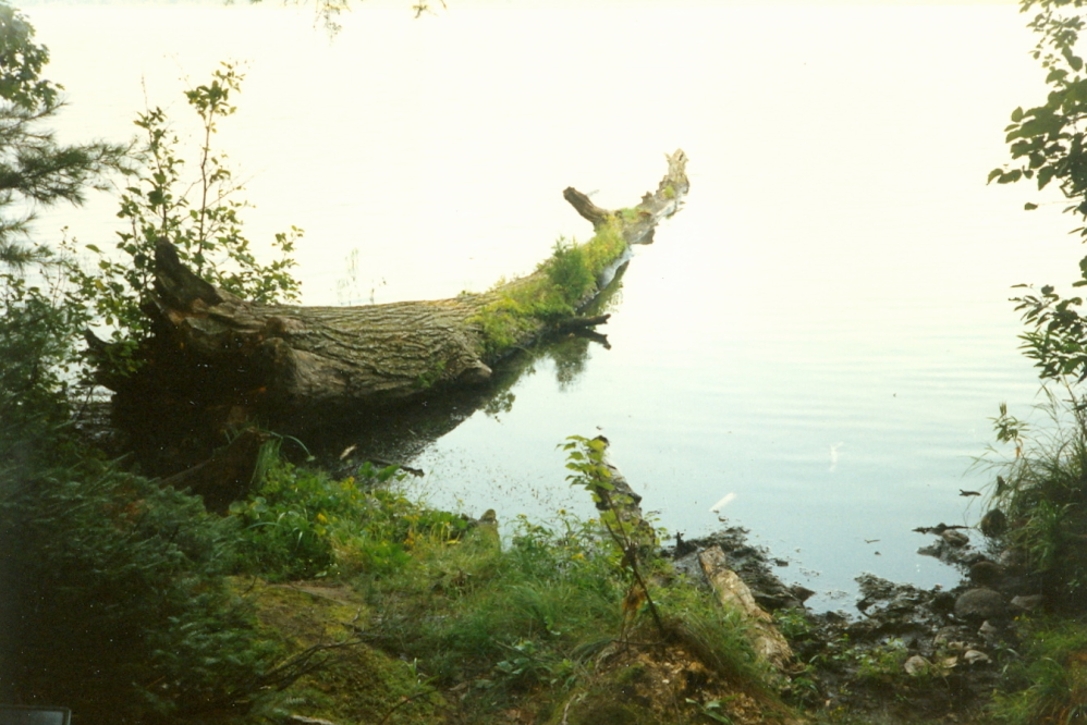 Lake Lucerne