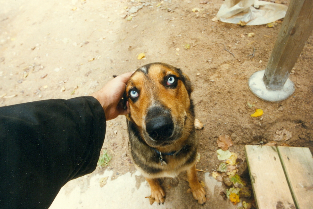 He seemed friendly enough and had kind of freaky eyes.