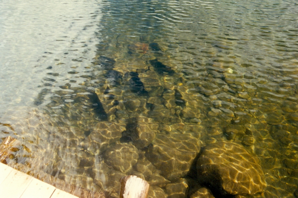 The lake was cold and crystal clear.