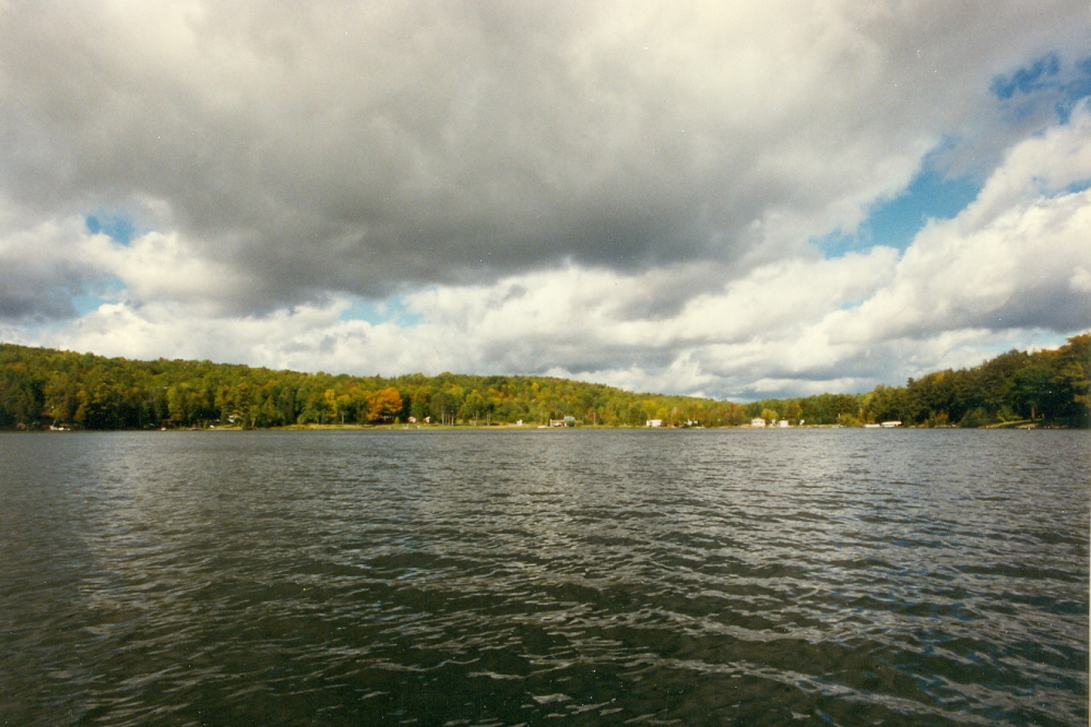 Most trees were still green, but a few were well on their way to peak color.