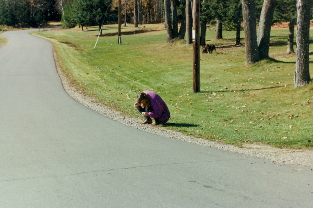 While hiking back to Knott Lane, Mrs Nemo stopped often to closely examine some interesting rocks.