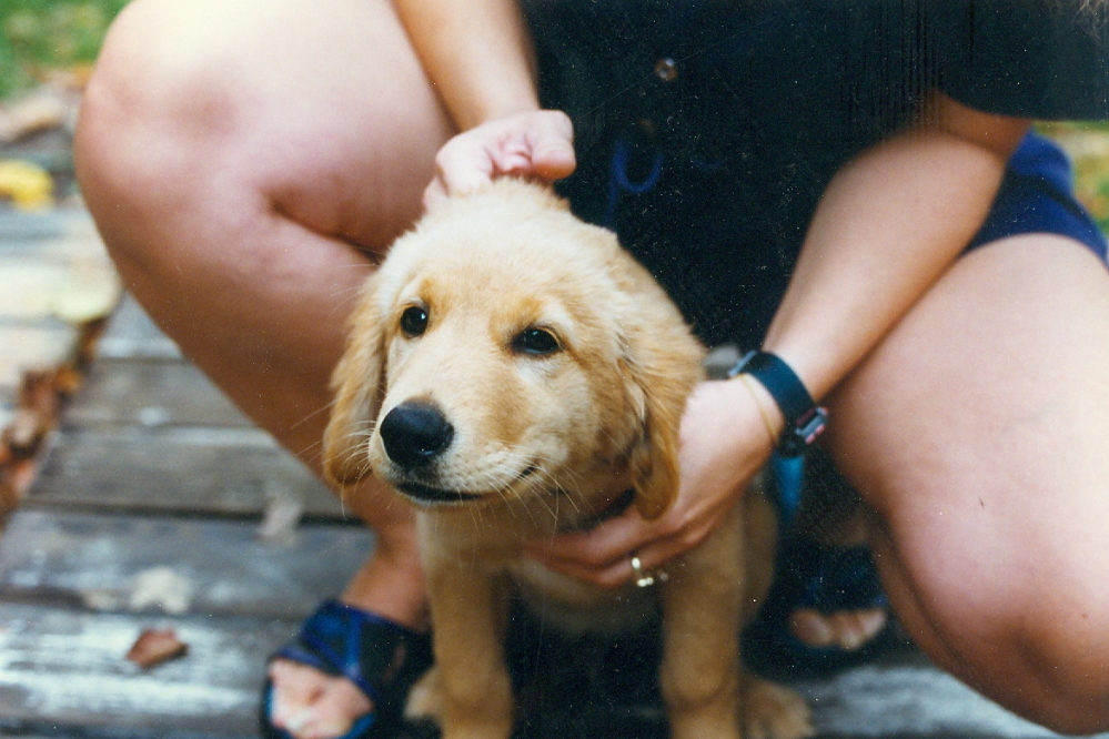 The puppy rumors were true! His name is Jake and he's really soft and a little nippy.