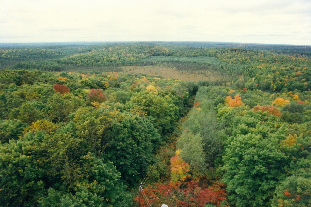 Some color, but not much. Peak is a week or two away.