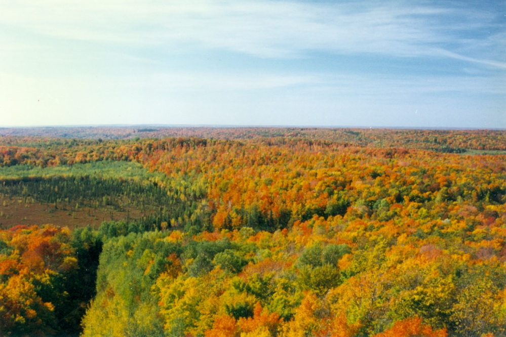 To get a better feel for the color, we climbed Sugarbush Hill's fire tower. The colors to the West were glorious.