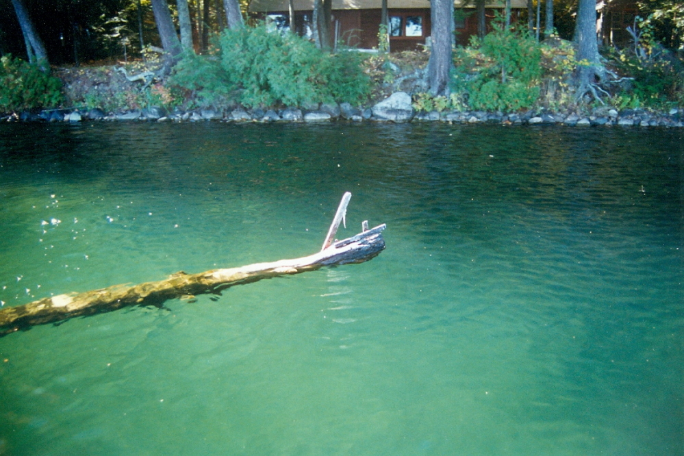It was noted during the fishing trip that the sticking out log near the second point (counting from the North on the West side) has lost its marking flag.