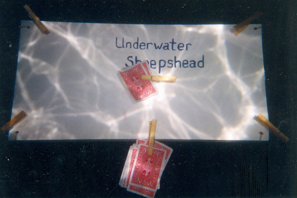It was agreed before this visit to Lucerne, that there were far too few card games going on under the lake. A table was made, a pack of plastic coated cards were opened, and the game was on.
