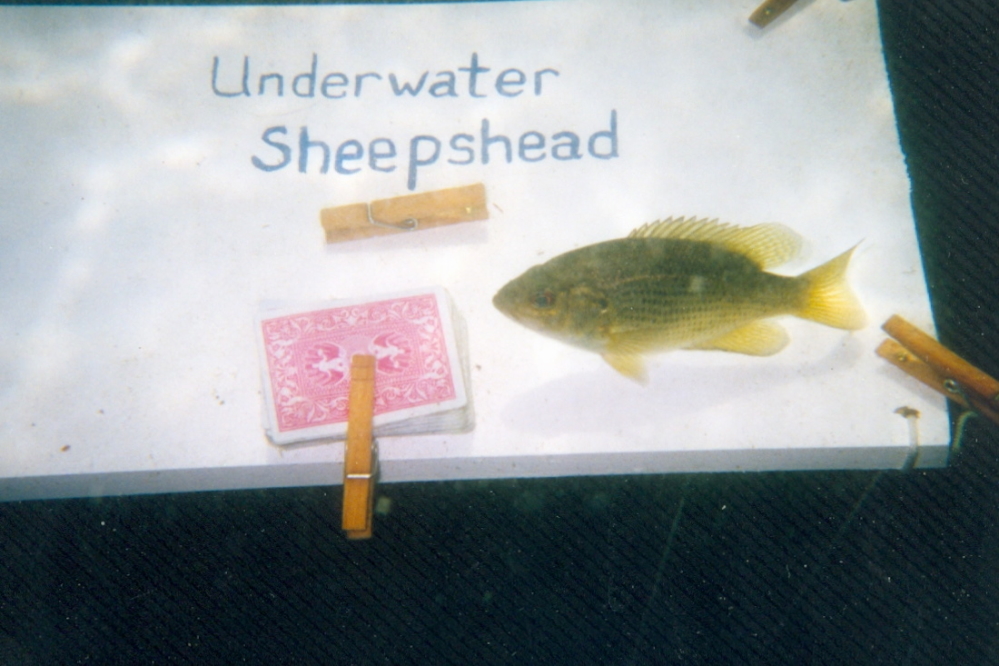 There were some subtle differences, too. We've almost never had to shoo away passing fish back in the cabin.