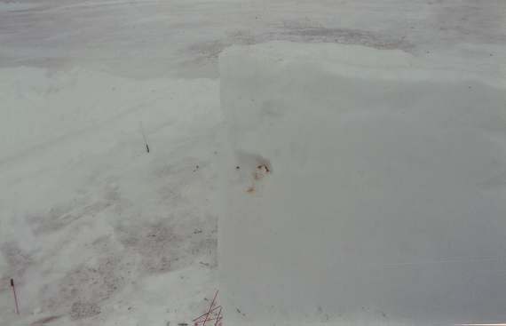 Direct Hit! Jim & Kyle's fort shows the scars from last nights battle.<br><br><br>-Nemo
