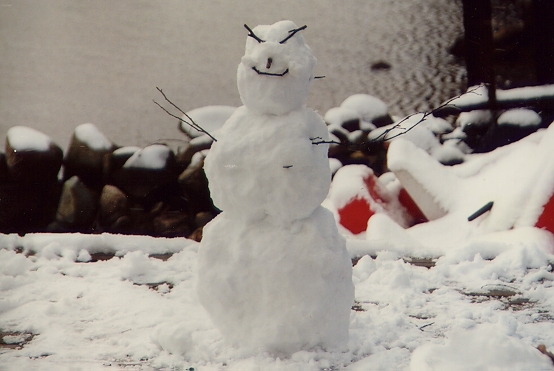 The season's first snowman proved to be a poor swimmer.