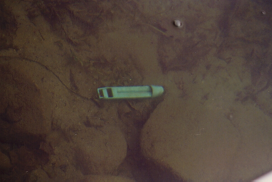 We must return before the ice covers the lake.&nbsp; The thermometer needs to be rescued!&nbsp;&nbsp;<br><br>-Nemo captured the spirit, let the ugly aesthetic go.