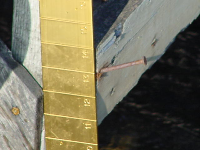 The Lake Level is currently 13" below the nail