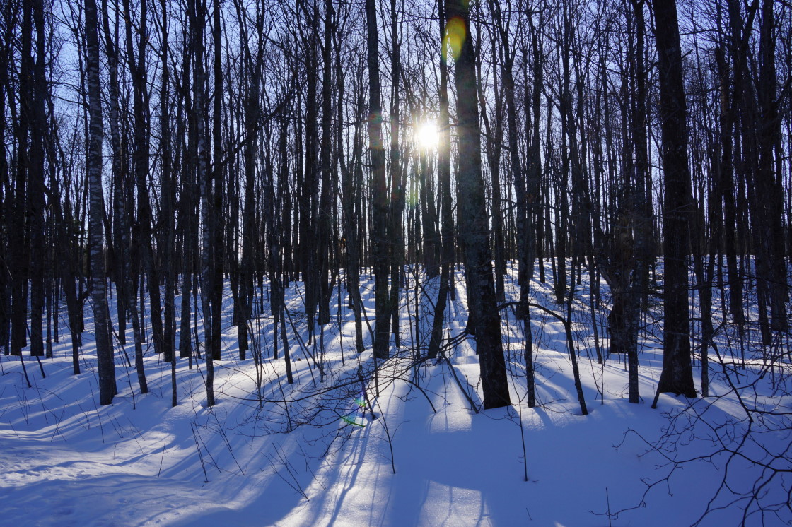 Although the temperature did not call for it, the calendar called for taps to be joined to trees.