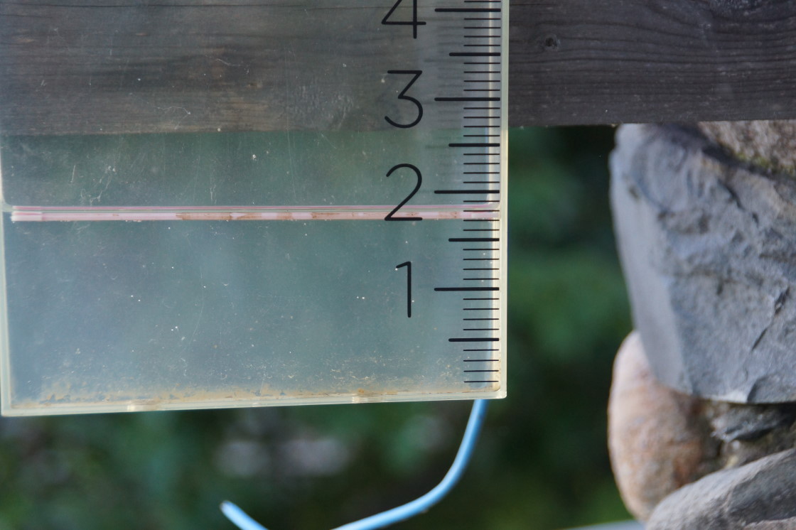 On Tuesday the rain gauge was emptied. After all the weekend storms, 1.7 inches of rain water was added to the lake. That's good.