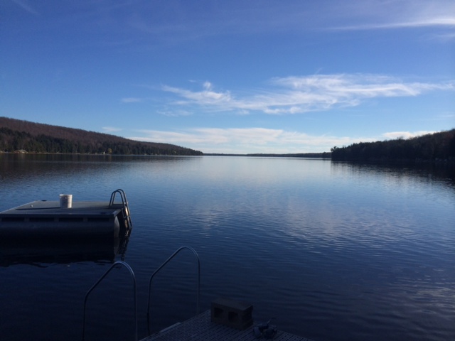 The ice is still not in. We'll get the ice-in contest up sometime this week. Until then, you should probably not swim in the lake (causes hypothermia) and stay away from "sure things" involving the Dallas Cowboys (causes poorness, crabbiness).<br><br><br>-Nemo; poorer, wiser