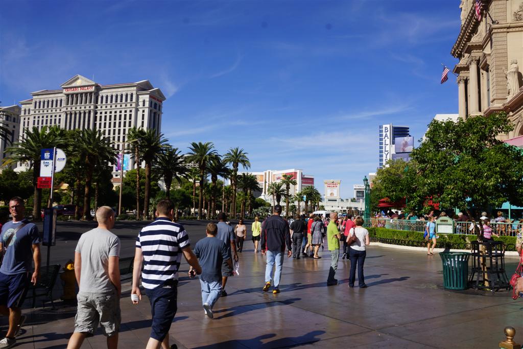 Here in the extreme southwestern corner of the lake area the weather is very summery (80's, close to 90 (°F)) and dry. The Knottlane convention and pool party continues with small groups gathering today to discuss php coding, drone image angles, and the futility of betting on football games.
