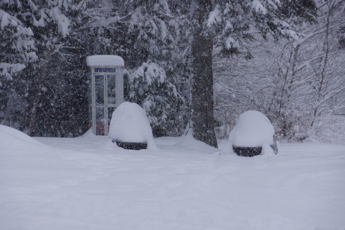This ought to make snowmobilers and the establishments that enjoy their company happy. It goes without saying that those who enjoy digging their sleds out of the snow will be the happiest of all.