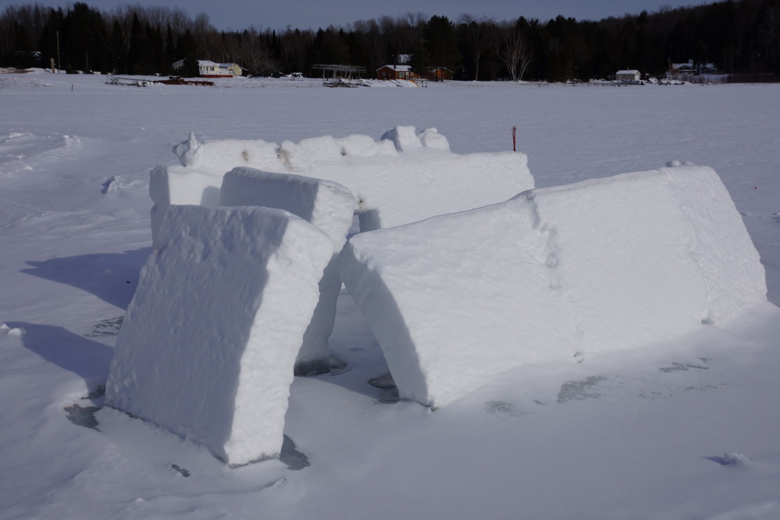 The Farmer's Almanac uses, among other things, animal behavior and physiology to do long term weather predicting. We should have seen the cold coming when we observed the bottle rocket forts huddling together a few days before the icy slap.