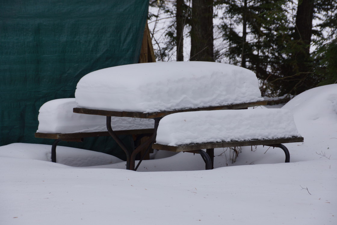We have been a little light in the snow department, but we still have a bit.
