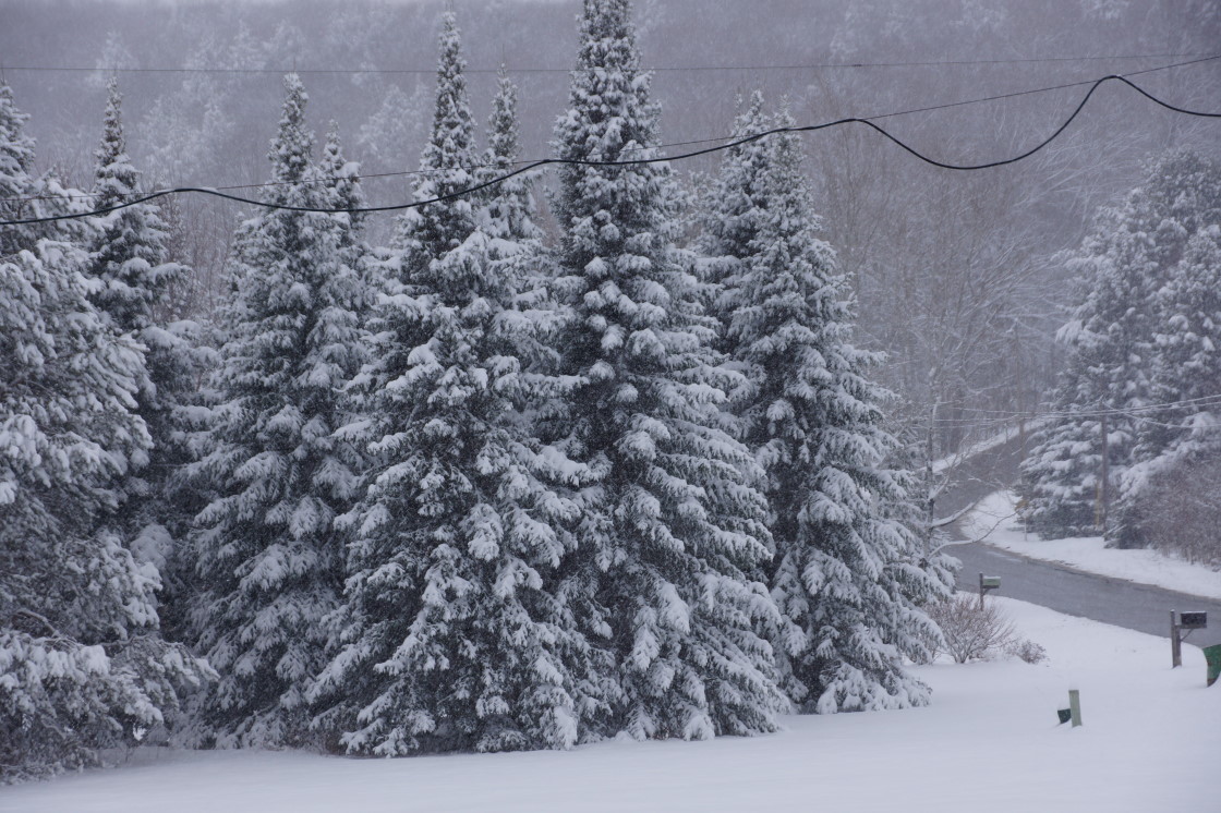 Early last week, it snowed. It snowed again just before the weekend. As Winter mindlessly shuffled around the area, it was clear that ZOMBIE WINTER, one of the most feared of the four horsemen of the snowpocalypse, was upon us trying to freeze our brains.
