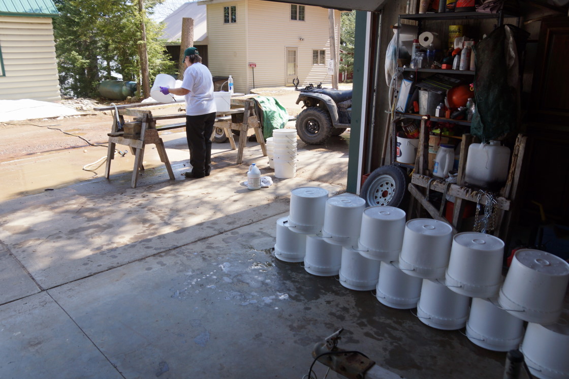 By Sunday, much of ZOMBIE WINTER was vanquished, the maples stopped dripping, and an amazingly small crew of tappers began to haul buckets from the woods and clean them.