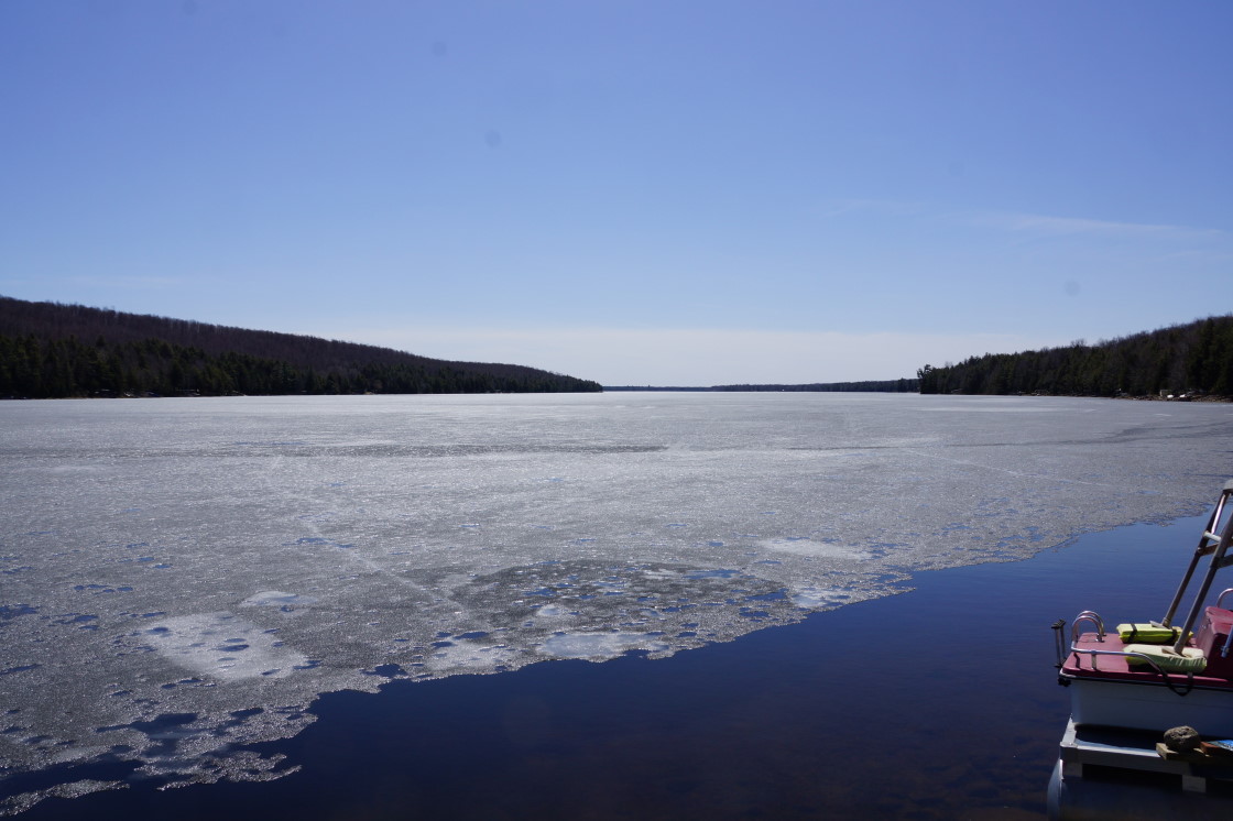 This week, like every week before it since November, started with ice covering the lake. This would not stand. 